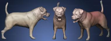 3D мадэль Черная собака 0160 (STL)